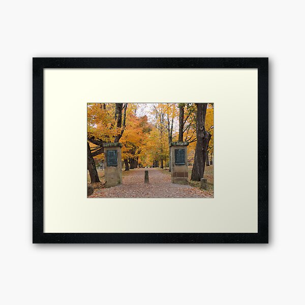 Item preview, The Path in Fall designed and sold by 14Wolves.