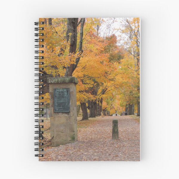 Item preview, The Path in Fall designed and sold by 14Wolves.