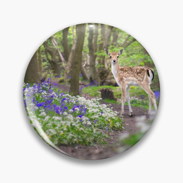Item preview, Deer In A Bluebell Wood designed and sold by Alisonchambers2.