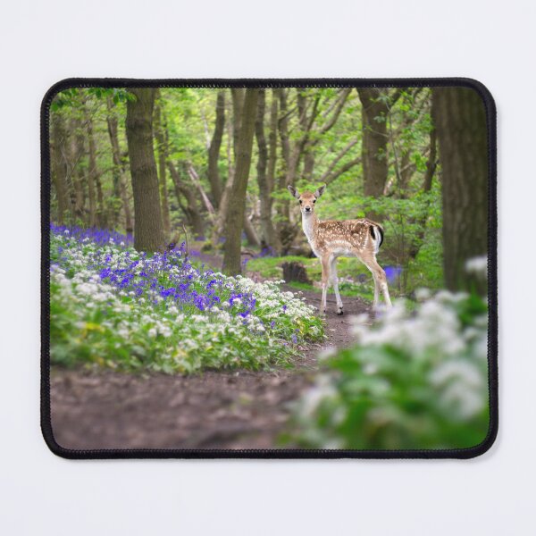 Item preview, Deer In A Bluebell Wood designed and sold by Alisonchambers2.