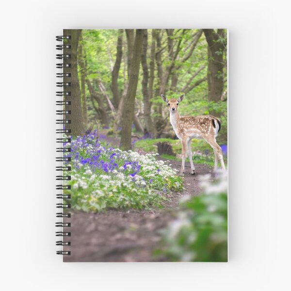 Item preview, Deer In A Bluebell Wood designed and sold by Alisonchambers2.