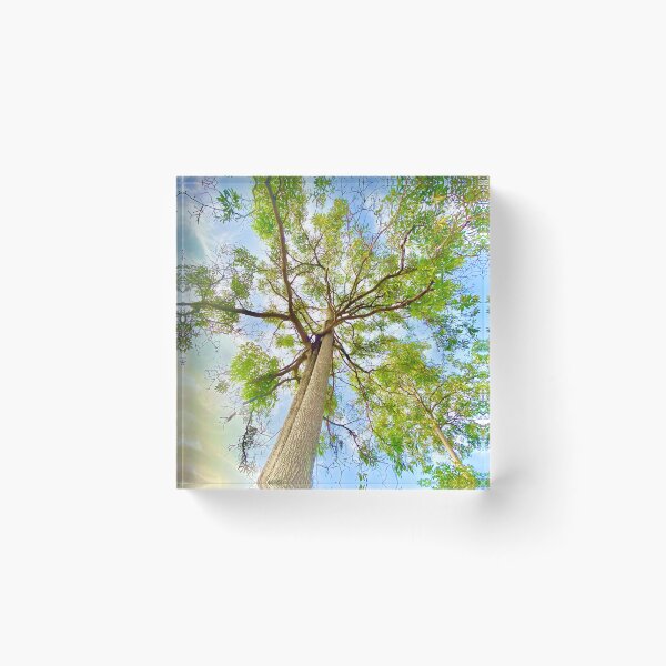Item preview, Nature Tree Picture designed and sold by DesignsStation8.