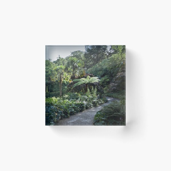 Artikelvorschau, Nature Photography | Glenveagh Castle & Gardens Nationalpark entworfen und verkauft von Cora Wirth.