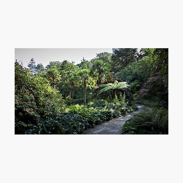 Item preview, Nature Photography | Glenveagh Castle & Gardens National Park designed and sold by Cora Wirth.