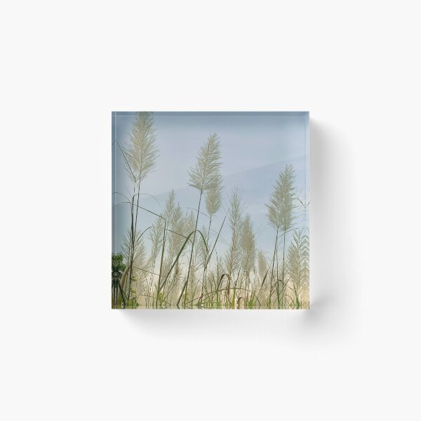 Item preview, Winter Wild Flowers Beautiful Nature designed and sold by DesignsStation8.