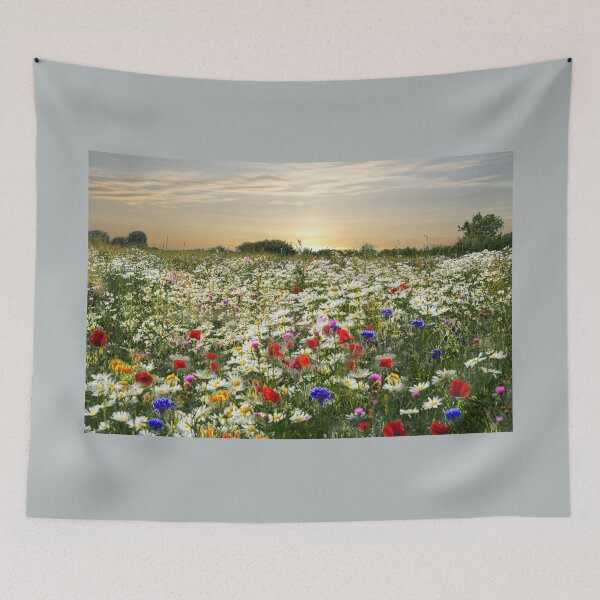 Artikelvorschau, Somerset Wildblumenwiese entworfen und verkauft von Alisonchambers2.