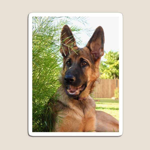 Item preview, German Shepherd Service Dog designed and sold by Mark Grimsley.