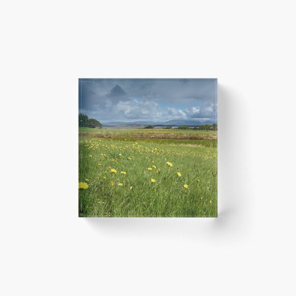 Artikelvorschau, Nature Photography | Blumenwiese Murrisk Mayo Irland entworfen und verkauft von Cora Wirth.