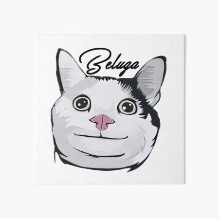 Beluga edit w/ hearts  Cute cat memes, Funny cat wallpaper, Cute memes