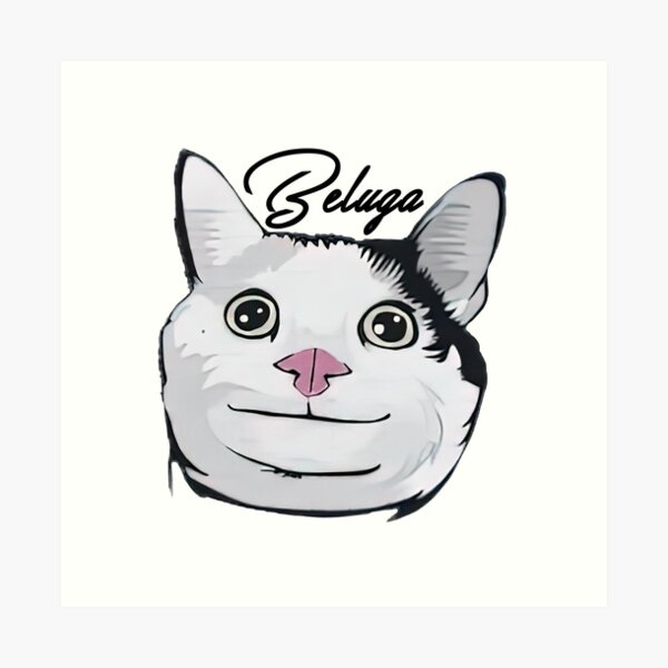 Beluga Cat Photographic Print for Sale by LUCKY DESIGNER