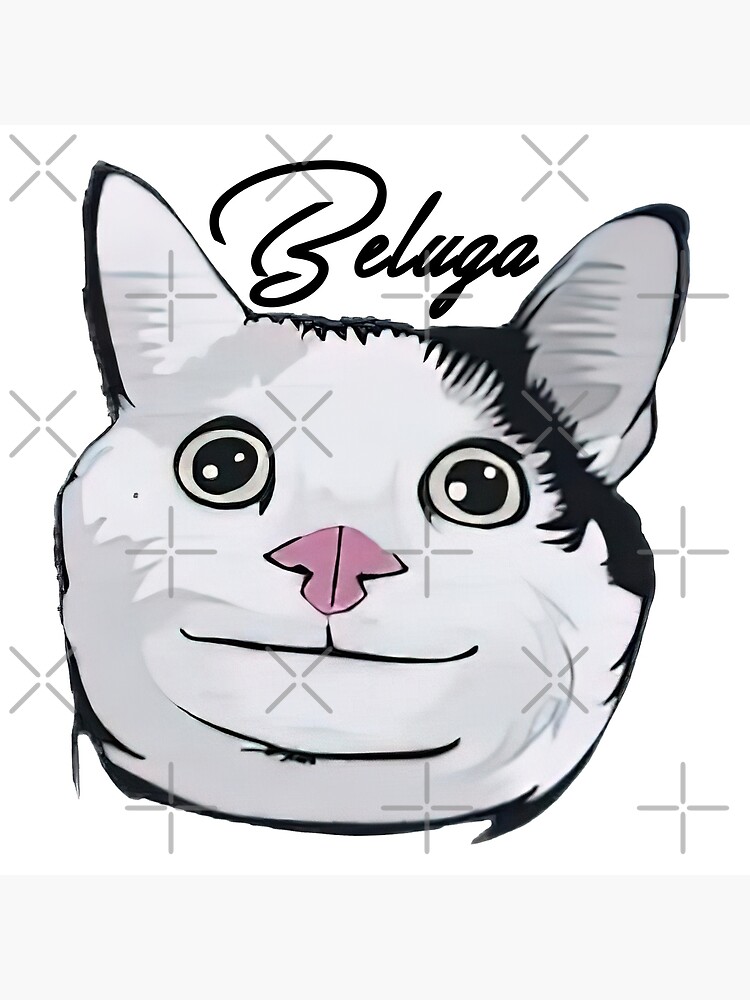 beluga cat by mikimeow686 on DeviantArt