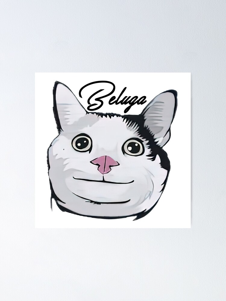 Beluga(polite cat meme)