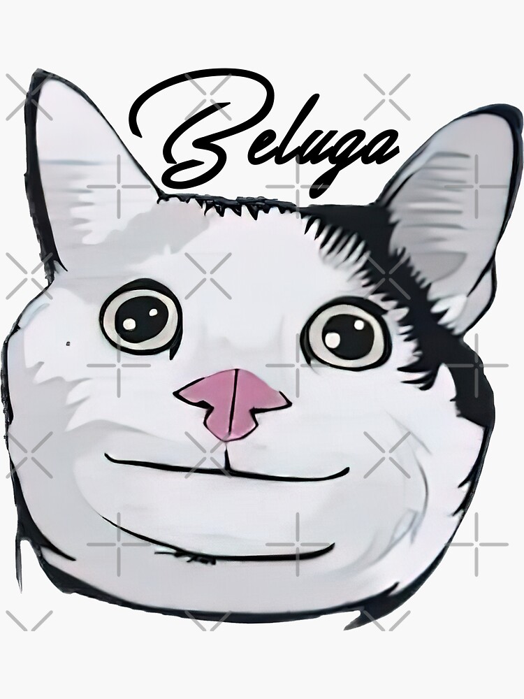 Who is The Beluga Cat? 