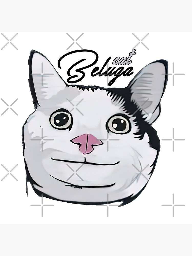 beluga cat | Photographic Print
