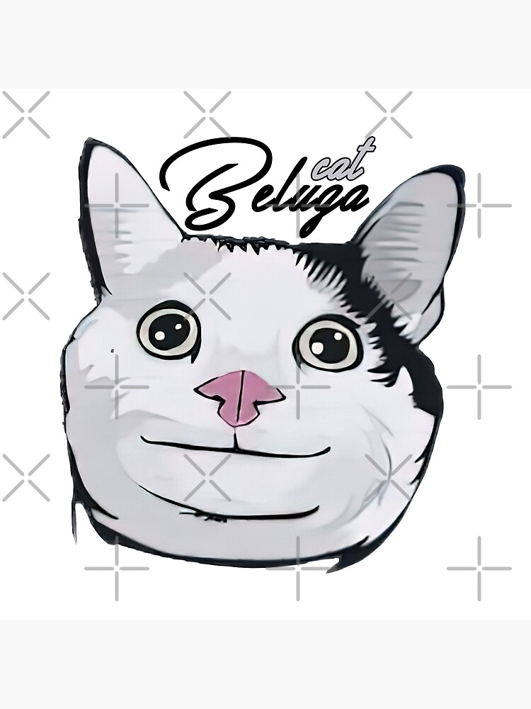 beluga cat meme  Photographic Print for Sale by alicjadesigns