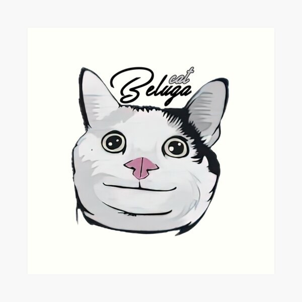 Download Beluga Cat Meme Face Wallpaper