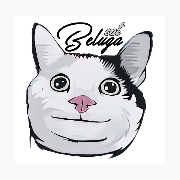 Smiling Cat Beluga - Cat Beluga Photographic Print for Sale by