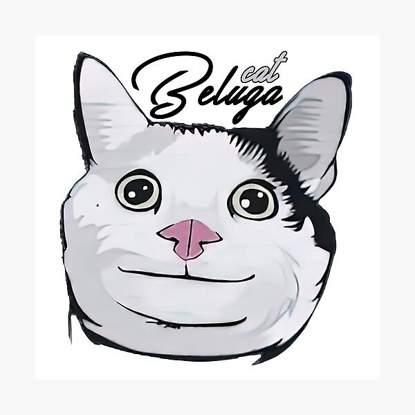 Smiling Beluga Cat Meme Face Photographic Print for Sale by