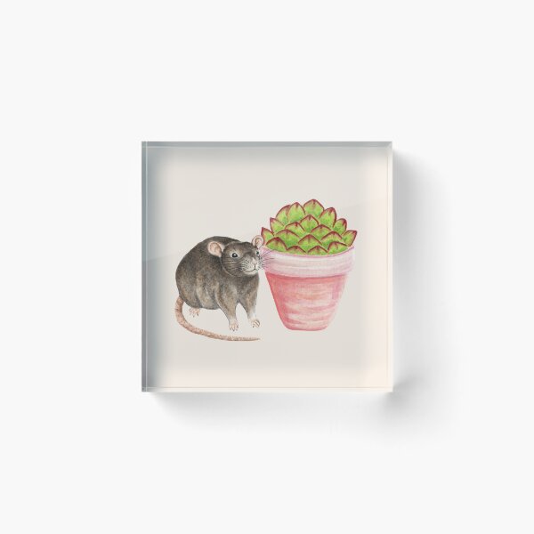 Item preview, Rat with Succulent Plant designed and sold by WolfySilver.