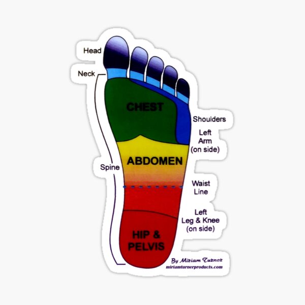 Item preview, Reflexology Foot designed and sold by elpenmaster.