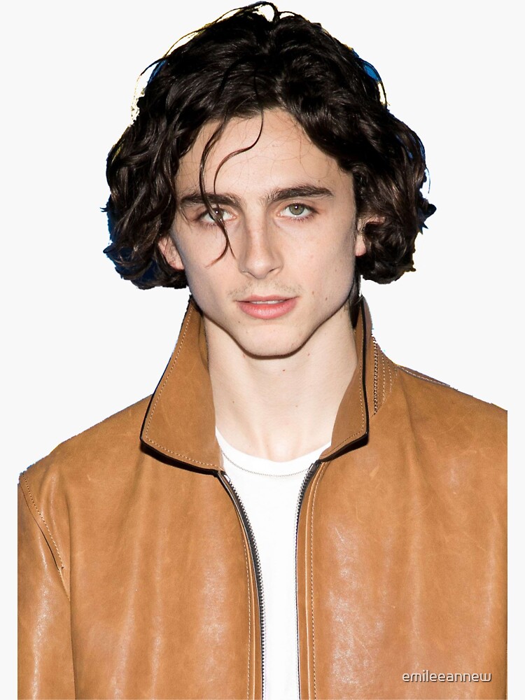 glossier timothee