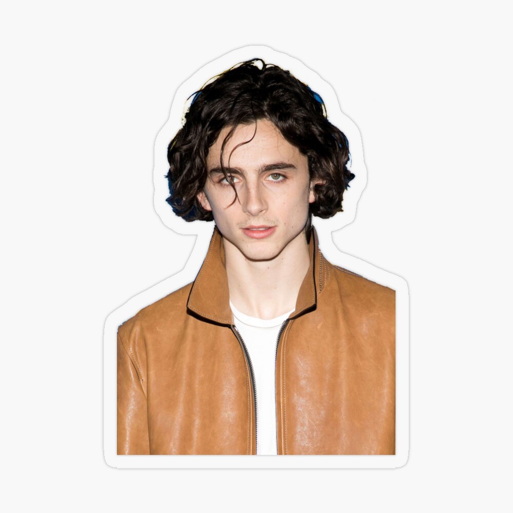 Timothée Chalamet Postcard by daddyhiddlest