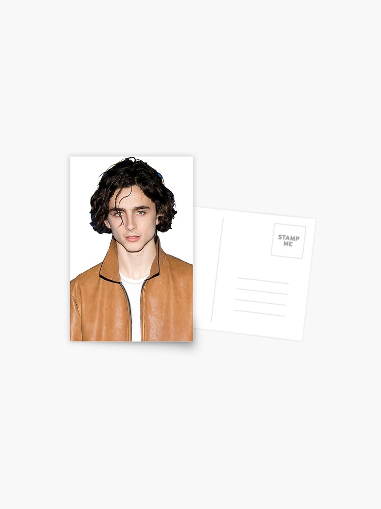 Timothée Chalamet Postcard by daddyhiddlest