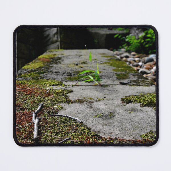 Item preview, Westlawn Cemetary, Canton Ohio designed and sold by RabbitHole13.
