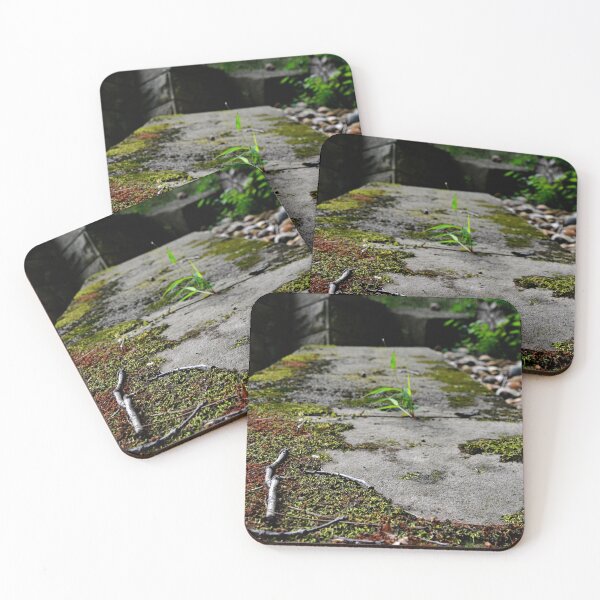 Item preview, Westlawn Cemetary, Canton Ohio designed and sold by RabbitHole13.
