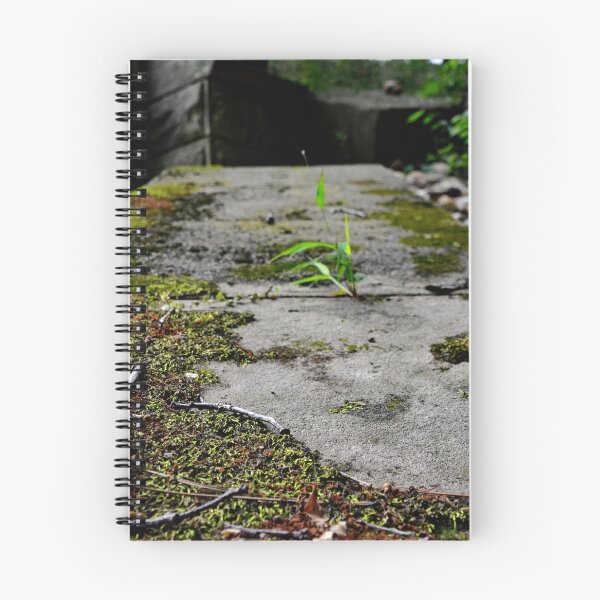 Item preview, Westlawn Cemetary, Canton Ohio designed and sold by RabbitHole13.