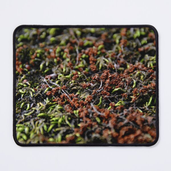 Item preview, Westlawn Cemetary, Canton Ohio designed and sold by RabbitHole13.