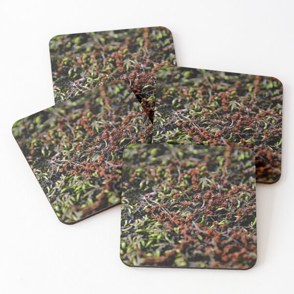 Item preview, Westlawn Cemetary, Canton Ohio designed and sold by RabbitHole13.