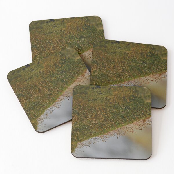 Item preview, Westlawn Cemetary, Canton Ohio designed and sold by RabbitHole13.