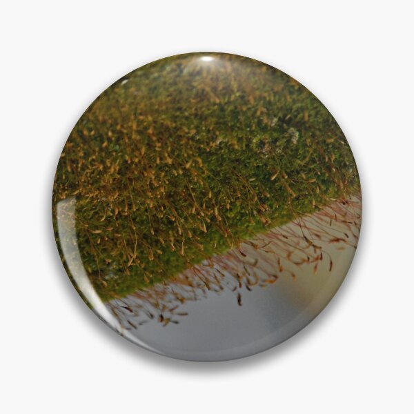 Item preview, Westlawn Cemetary, Canton Ohio designed and sold by RabbitHole13.