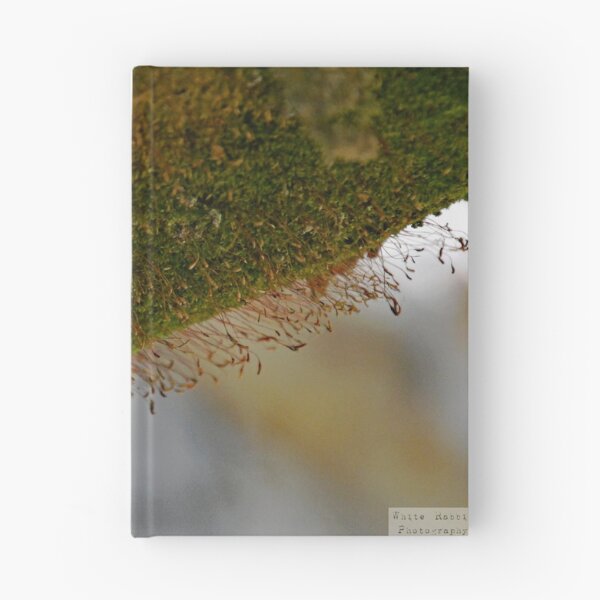 Item preview, Westlawn Cemetary, Canton Ohio designed and sold by RabbitHole13.