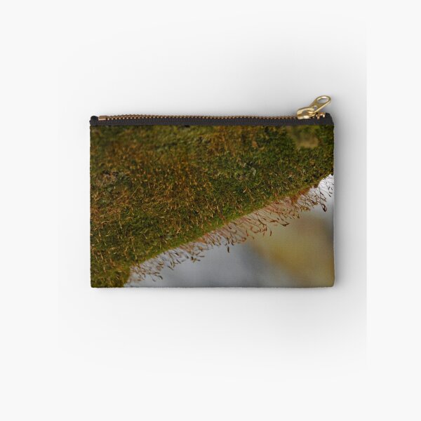 Item preview, Westlawn Cemetary, Canton Ohio designed and sold by RabbitHole13.