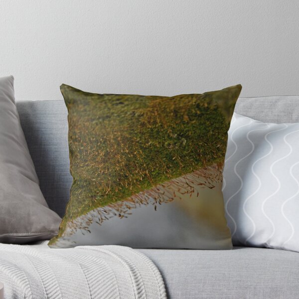 Item preview, Cementerio Westlawn, Cantón Ohio designed and sold by RabbitHole13.