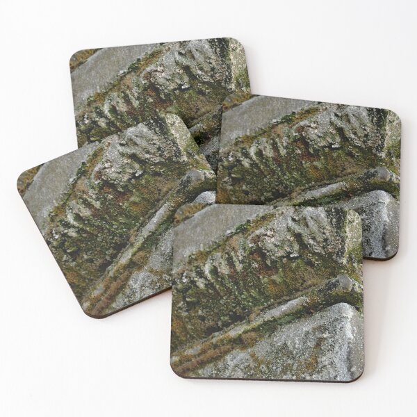 Item preview, Westlawn Cemetary, Canton Ohio designed and sold by RabbitHole13.
