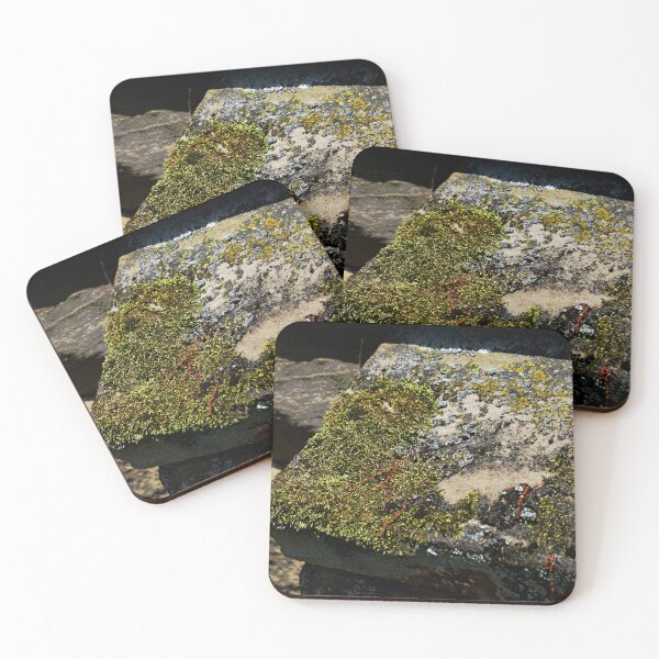 Item preview, Westlawn Cemetary, Canton Ohio designed and sold by RabbitHole13.