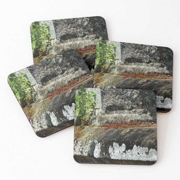Item preview, Westlawn Cemetary, Canton Ohio designed and sold by RabbitHole13.