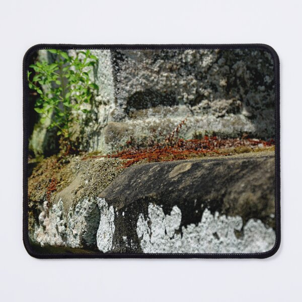 Item preview, Westlawn Cemetary, Canton Ohio designed and sold by RabbitHole13.