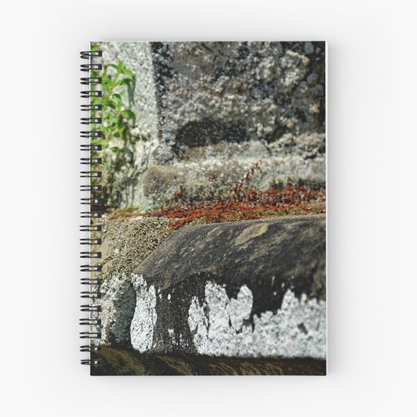 Item preview, Westlawn Cemetary, Canton Ohio designed and sold by RabbitHole13.