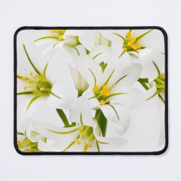 Item preview, White Flowers designed and sold by Dave Hare Photography.