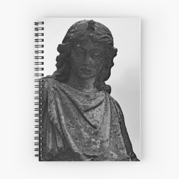 Item preview, Westlawn Cemetary, Canton Ohio designed and sold by RabbitHole13.