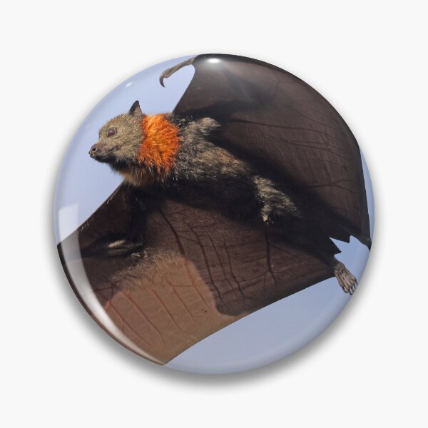 Item preview, Fruit Bat flying designed and sold by scar.
