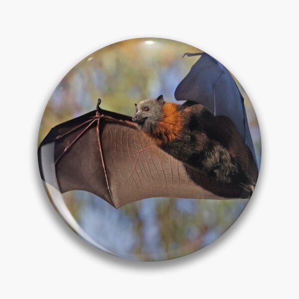 Item preview, Fruit Bat flying designed and sold by scar.