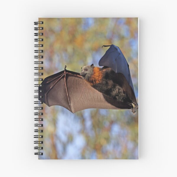 Item preview, Fruit Bat flying designed and sold by scar.