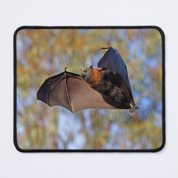 Item preview, Fruit Bat flying designed and sold by scar.