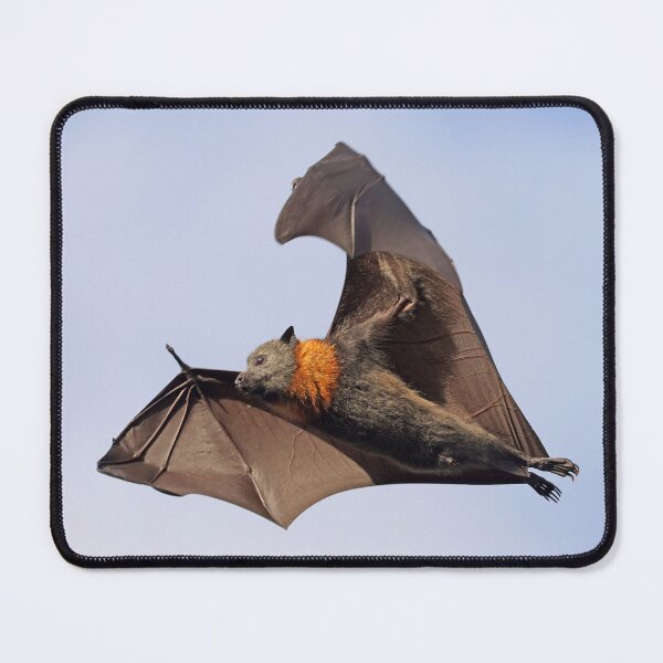 Item preview, Fruit Bat flying designed and sold by scar.