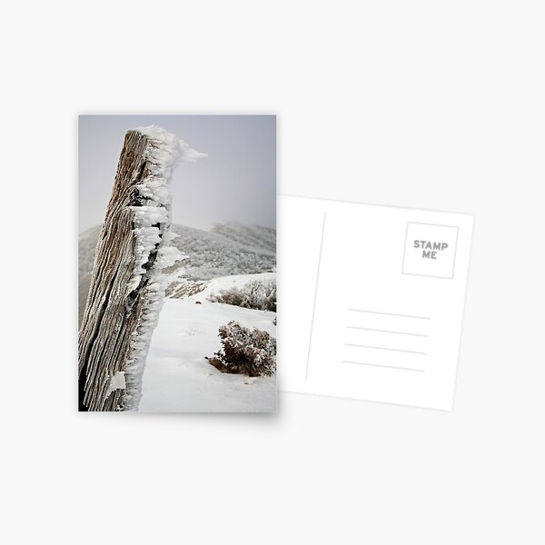 Winter on the Razorback, Mt Hotham, Australia Postcard